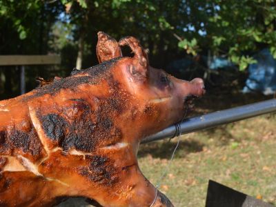 Méchoui cochon en Aquitaine (33)